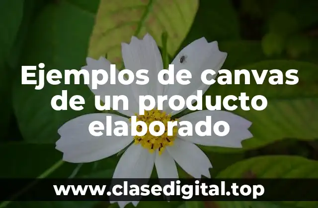 Ejemplos de canvas de un producto elaborado