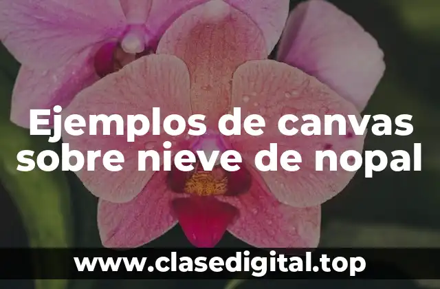 Ejemplos de canvas sobre nieve de nopal