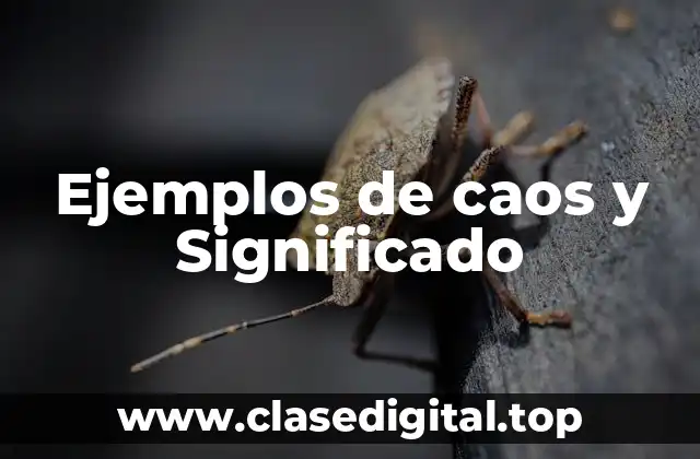 Ejemplos de caos y Significado