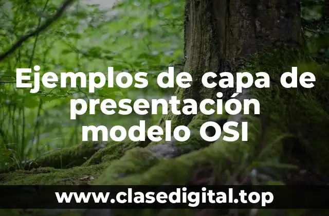 Ejemplos de capa de presentación modelo OSI