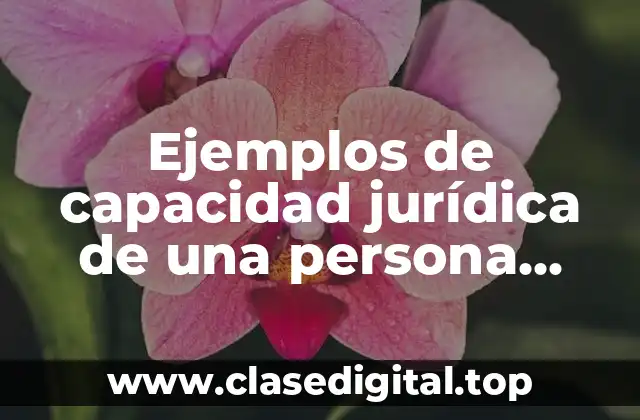 Ejemplos de capacidad jurídica de una persona física