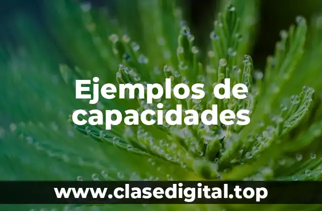 Ejemplos de capacidades