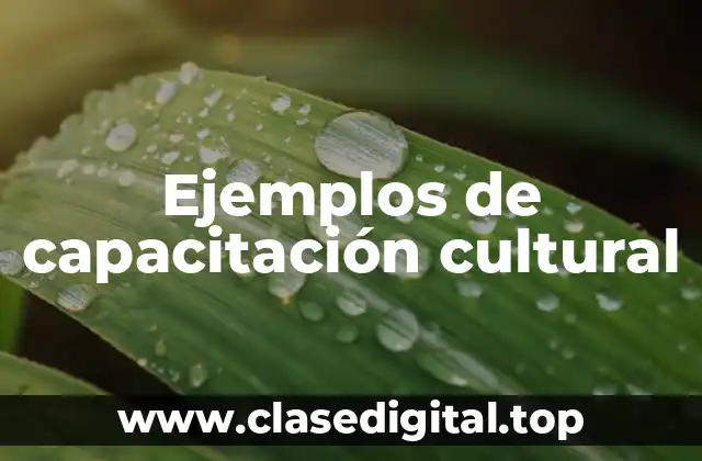 Ejemplos de capacitación cultural