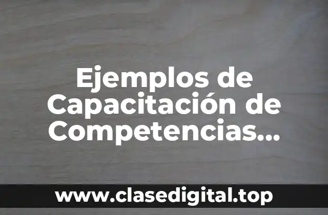 Ejemplos de Capacitación de Competencias Transversales