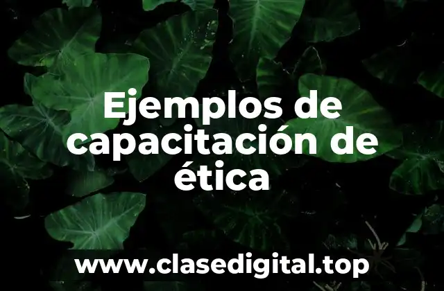 Ejemplos de capacitación de ética