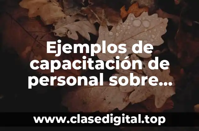 Ejemplos de capacitación de personal sobre comunicación interna y Significado