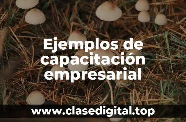 Ejemplos de capacitación empresarial