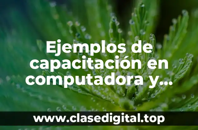 Ejemplos de capacitación en computadora y Significado