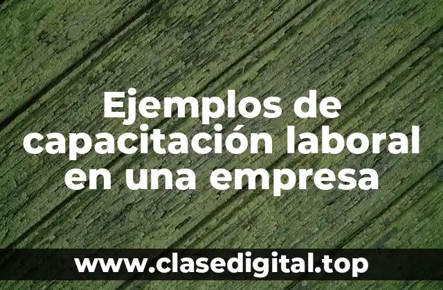 Ejemplos de capacitación laboral en una empresa