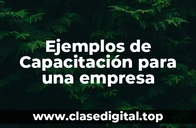 Ejemplos de Capacitación para una empresa