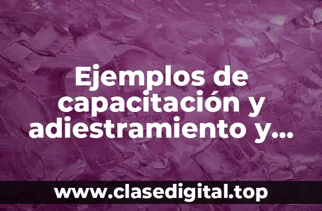 Ejemplos de capacitación y adiestramiento y Significado