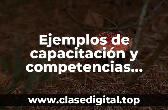 Ejemplos de capacitación y competencias laborales