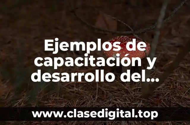 Ejemplos de capacitación y desarrollo del personal