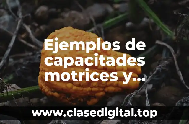 Ejemplos de capacitades motrices y Significado