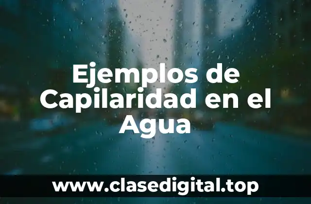 Ejemplos de Capilaridad en el Agua