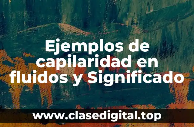 Ejemplos de capilaridad en fluidos