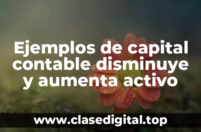Ejemplos de capital contable disminuye y aumenta activo