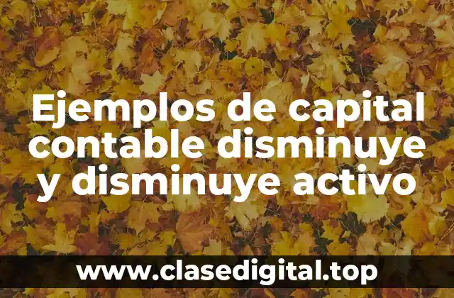 Ejemplos de capital contable disminuye y disminuye activo