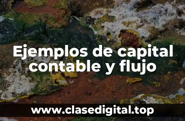 Ejemplos de capital contable y flujo