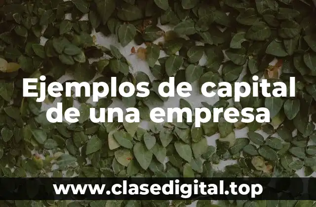 Ejemplos de capital de una empresa