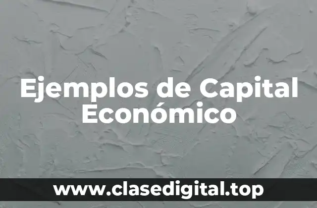 Ejemplos de Capital Económico