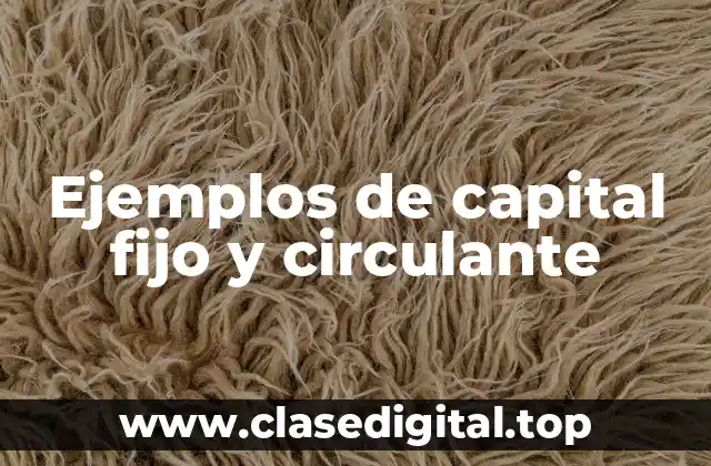 Ejemplos de capital fijo y circulante