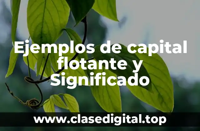 Ejemplos de capital flotante y Significado
