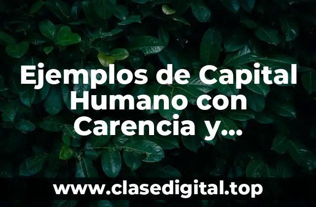 Ejemplos de Capital Humano con Carencia y Satisfacción
