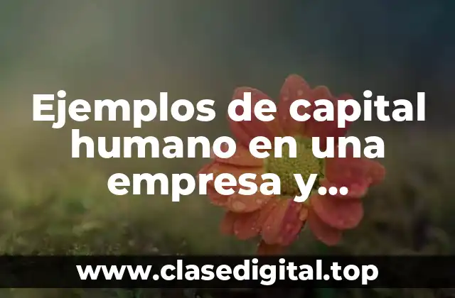 Ejemplos de capital humano en una empresa y Significado