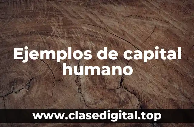 Ejemplos de capital humano
