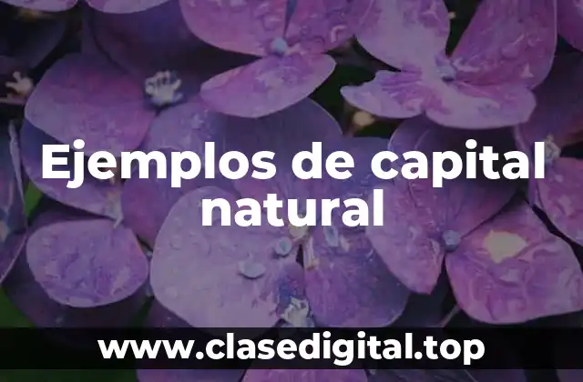 Ejemplos de capital natural