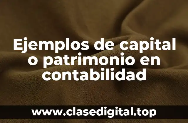 Ejemplos de capital o patrimonio en contabilidad