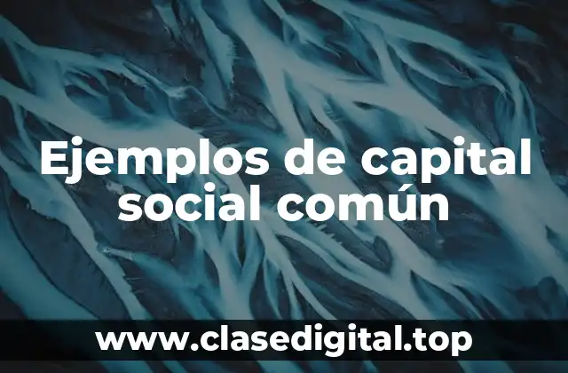 Ejemplos de capital social común