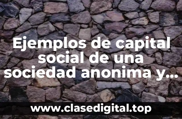 Ejemplos de capital social de una sociedad anonima y Significado