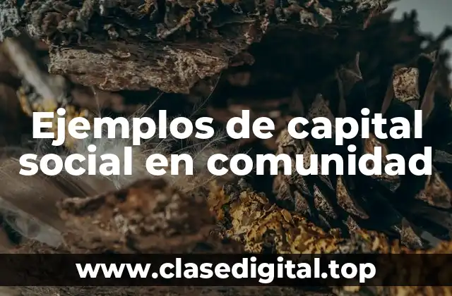 Ejemplos de capital social en comunidad