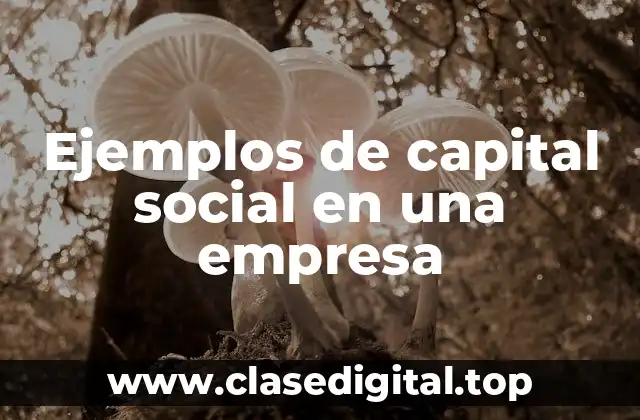 Ejemplos de capital social en una empresa