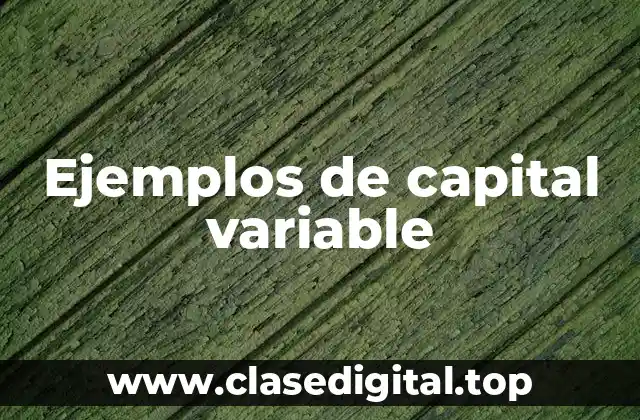 Ejemplos de capital variable
