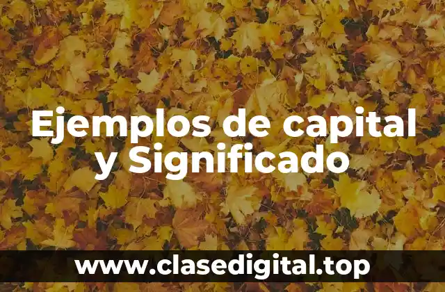Ejemplos de capital y Significado