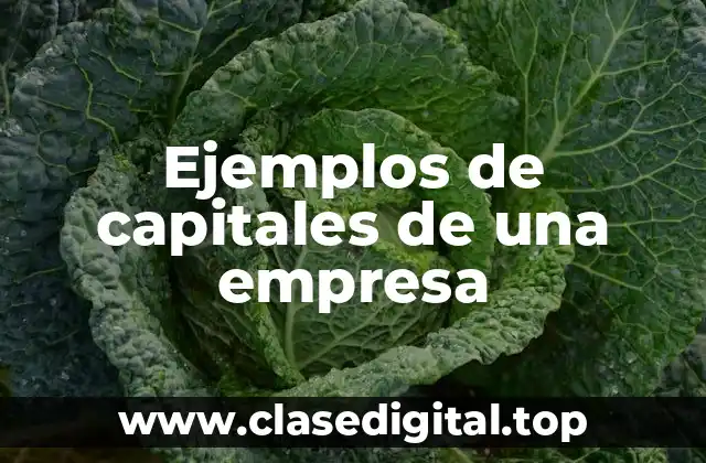Ejemplos de capitales de una empresa