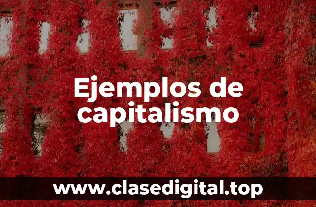 Ejemplos de capitalismo