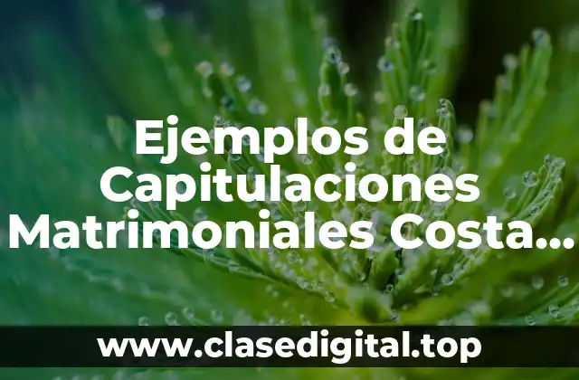Ejemplos de Capitulaciones Matrimoniales en Costa Rica