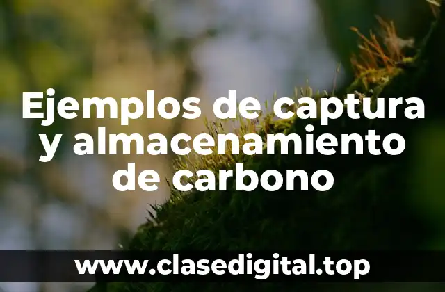 Ejemplos de captura y almacenamiento de carbono