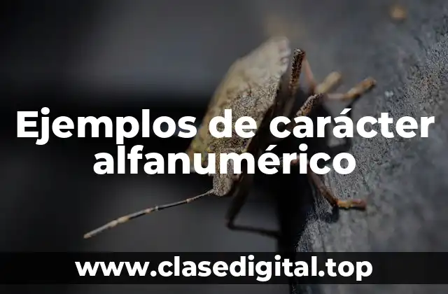 Ejemplos de carácter alfanumérico