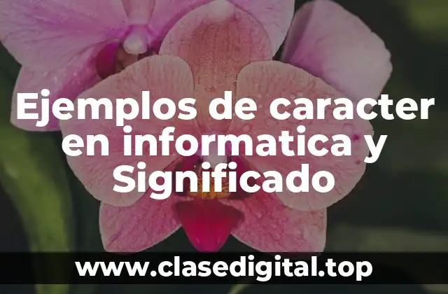 Ejemplos de caracter en informatica y Significado