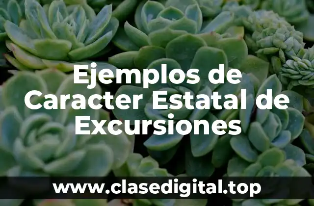 Ejemplos de Caracter Estatal de Excursiones