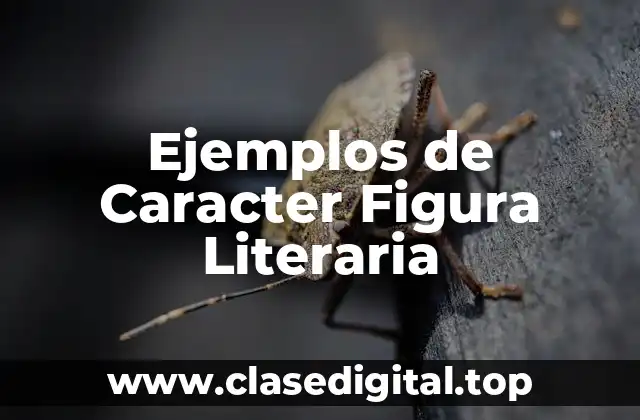 Ejemplos de Caracter Figura Literaria
