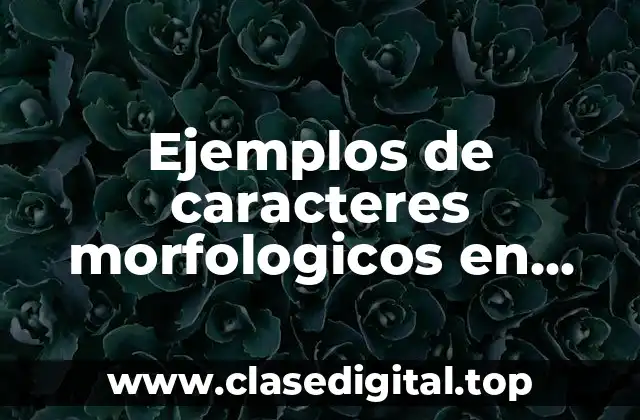 Ejemplos de caracteres morfologicos en gramatica