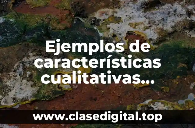 Ejemplos de características cualitativas primarias de la contabilidad