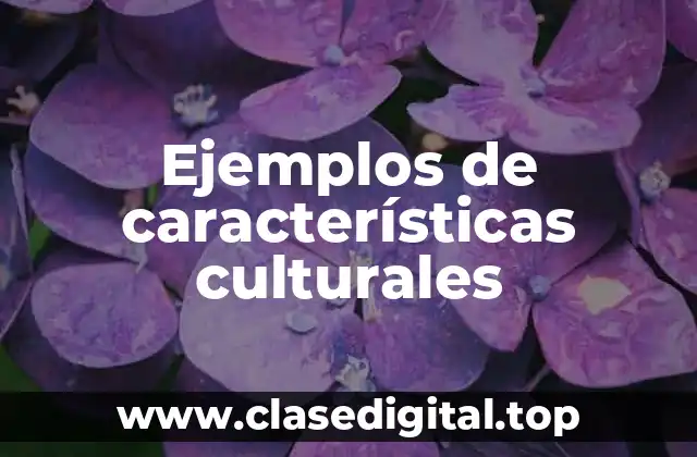 Ejemplos de características culturales