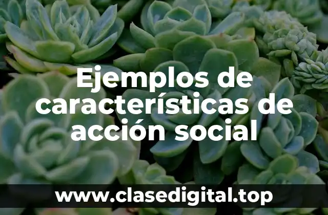 Ejemplos de características de acción social